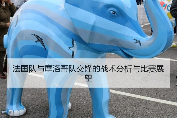 法国队与摩洛哥队交锋的战术分析与比赛展望